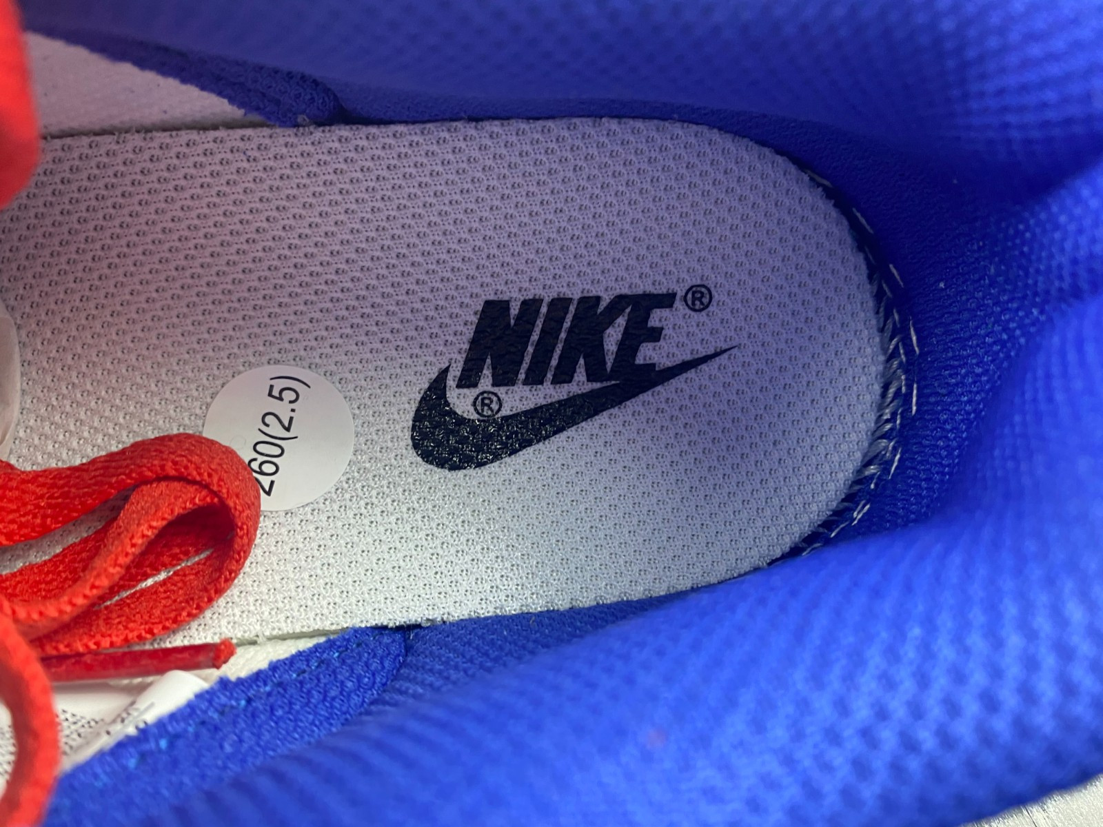 nike dunk low gs 