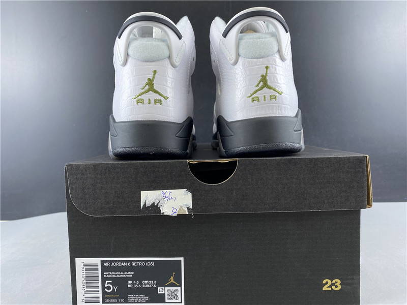 jordan 6 retro alligator (gs) - 384665-110